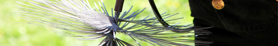 Banner - Lars Meschkat